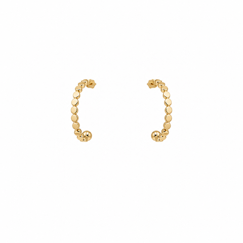 The Naomi Hoop
