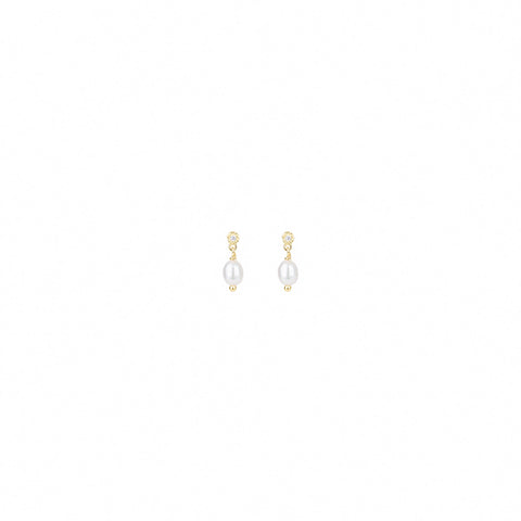 THE ARA EARRINGS