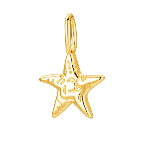 THE STARFISH CHARM
